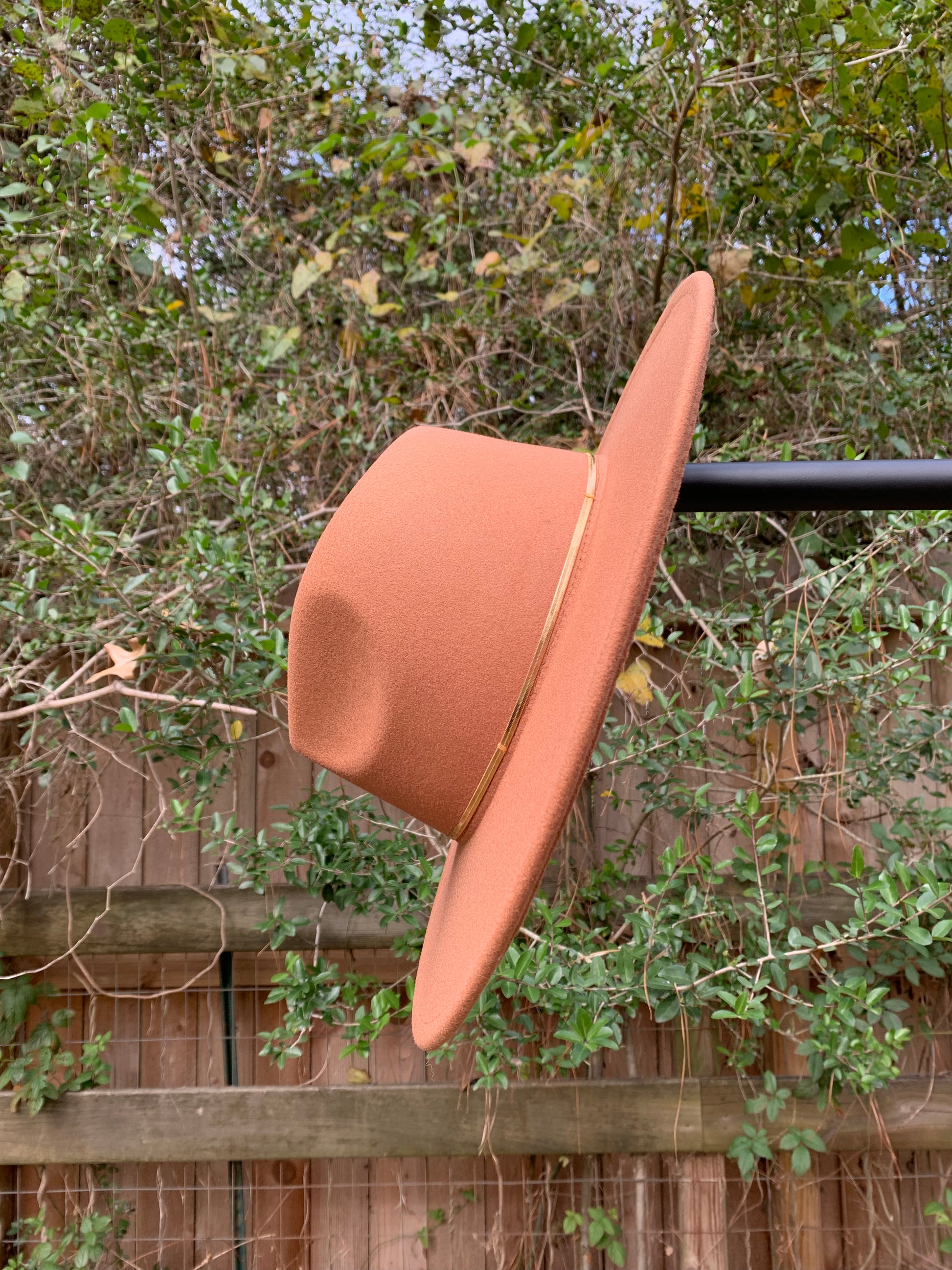Dark Tan Embellished Rancher Hat